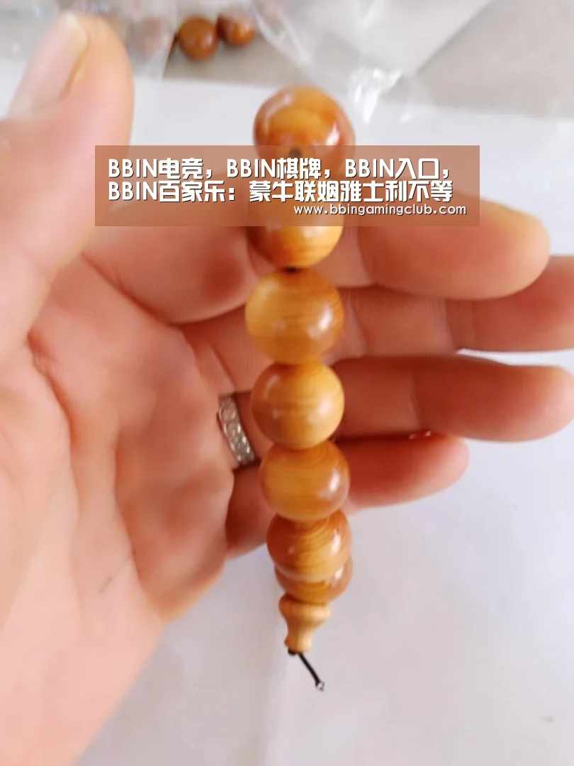 BBIN电竞，BBIN棋牌，BBIN入口，BBIN百家乐