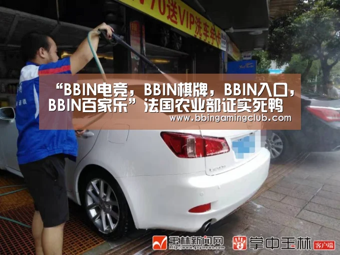BBIN电竞，BBIN棋牌，BBIN入口，BBIN百家乐